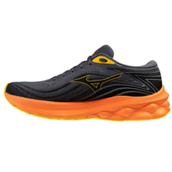 Chaussures de running Mizuno Wave Skyrise 5