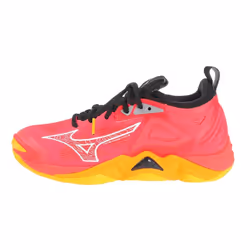 Chaussures indoor Mizuno Wave Momentum