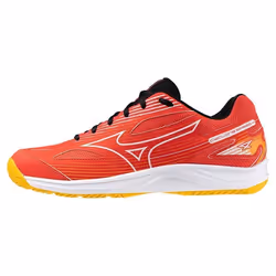 Chaussures indoor Mizuno Cyclone Speed