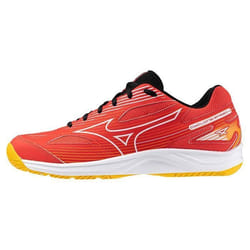 Chaussures indoor Mizuno Cyclone Speed