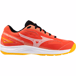 Chaussures indoor Mizuno Stealth Star