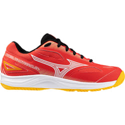 Chaussures indoor Mizuno Stealth Star