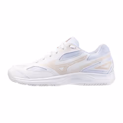 Chaussures indoor Mizuno Stealth Star 2