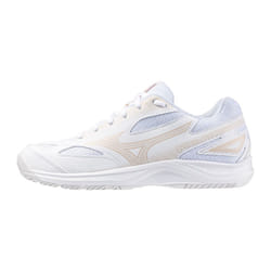 Chaussures indoor Mizuno Stealth Star 2