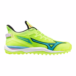 Chaussures indoor Mizuno Wave Leopardus