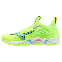 Chaussures indoor Mizuno Wave Momentum
