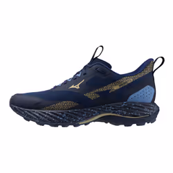 Chaussures de running Mizuno Wave Rider TT 2