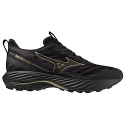 Chaussures de running Mizuno Wave Rider GTX 2