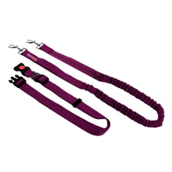Regatta - Laisse pour chiens - Taille unique (Rose violacé)