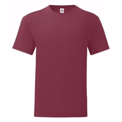 Fruit Of The Loom - T-shirt ICONIC - Hommes (Bordeaux)
