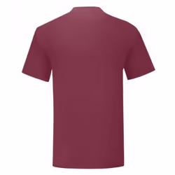 Fruit Of The Loom - T-shirt ICONIC - Hommes (Bordeaux)