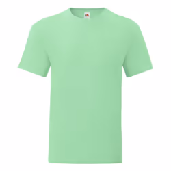 Fruit Of The Loom - T-shirt ICONIC - Hommes (Vert pâle)