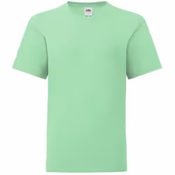Fruit Of The Loom - T-shirt manches courtes ICONIC -  Unisexe (Vert pâle)