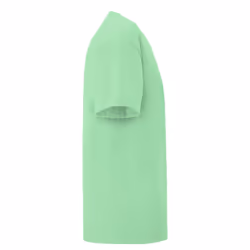Fruit Of The Loom - T-shirt manches courtes ICONIC -  Unisexe (Vert pâle)