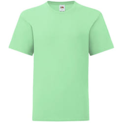 Fruit Of The Loom - T-shirt manches courtes ICONIC -  Unisexe (Vert pâle)