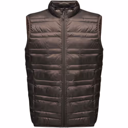 Regatta - Veste sans manches FIREDOWN - Homme (Noir)
