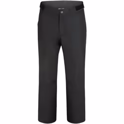 Dare 2B - Pantalon de ski REAM - Homme (Noir)