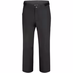 Dare 2B - Pantalon de ski REAM - Homme (Noir)