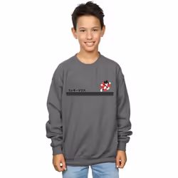 Disney - Sweat - Garçon (Charbon)