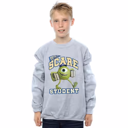 Disney - Sweat MONSTERS UNIVERSITY - Garçon (Gris chiné)