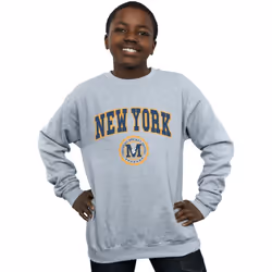 Disney - Sweat NEW YORK - Garçon (Gris chiné)