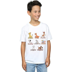 Disney - T-shirt LITTLE FRIENDS - Garçon (Blanc)
