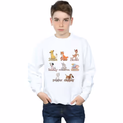 Disney - Sweat LITTLE FRIENDS - Garçon (Blanc)
