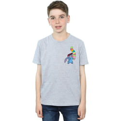 Disney - T-shirt - Garçon (Gris chiné)