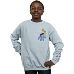 Disney - Sweat - Garçon (Gris chiné)