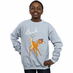Disney - Sweat - Garçon (Gris chiné)