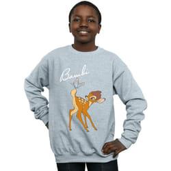 Disney - Sweat - Garçon (Gris chiné)