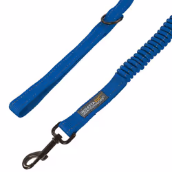 Regatta - Laisse pour chiens - Taille unique (Bleu)