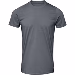 Gildan - T-shirt manches courtes SOFTSTYLE - Homme (Gris foncé chiné)
