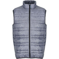 Regatta - Gilet sans manches FIRE - Homme (Gris chiné/noir)