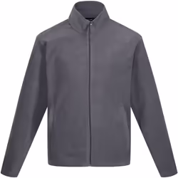 Regatta - Veste polaire CLASSIC - Homme (Gris)