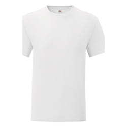 Fruit Of The Loom - T-shirt ICONIC - Hommes (Blanc)