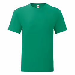Fruit Of The Loom - T-shirt ICONIC - Hommes (Vert)