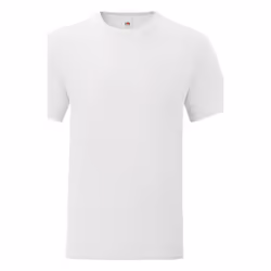 Fruit Of The Loom - T-shirt ICONIC - Hommes (Blanc)