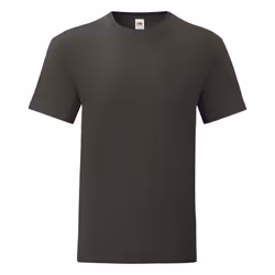 Fruit Of The Loom - T-shirt ICONIC - Hommes (Gris foncé)