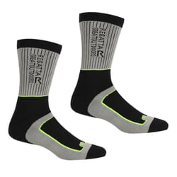 Regatta - Chaussettes SAMARIS SEASON - Homme (Gris foncé / Vert clair vif)