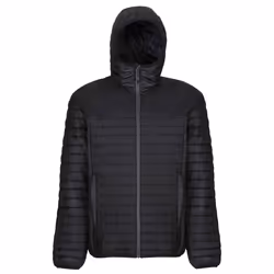 Regatta - Doudoune HONESTLY MADE - Homme (Noir)