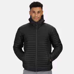 Regatta - Doudoune HONESTLY MADE - Homme (Noir)