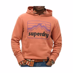 Sweatshirt à capuche Superdry Vintage 90s Terrain