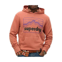 Sweatshirt à capuche Superdry Vintage 90s Terrain