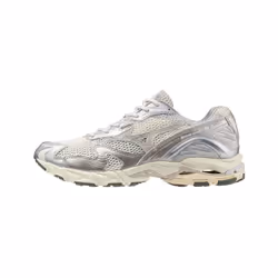 Baskets Mizuno Wave Rider - 41