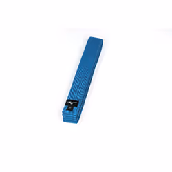 Ceinture Judo Mizuno