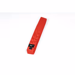 Ceinture Judo Mizuno