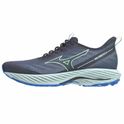 Chaussures de running Mizuno Wave Rider GTX