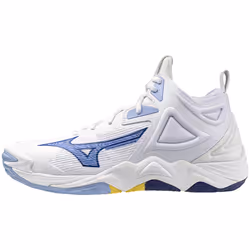 Chaussures indoor Mizuno Wave Momentum Mid