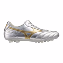 Chaussures de football Mizuno Morelia II Pro AG